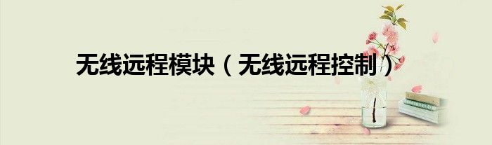 无线远程模块（无线远程控制）
