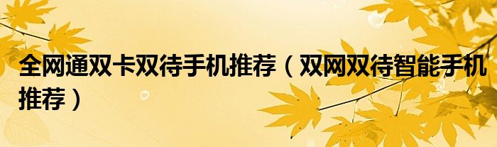 全网通双卡双待手机推荐（双网双待智能手机推荐）