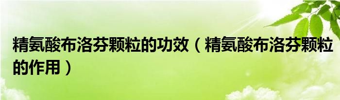 精氨酸布洛芬颗粒的功效（精氨酸布洛芬颗粒的作用）
