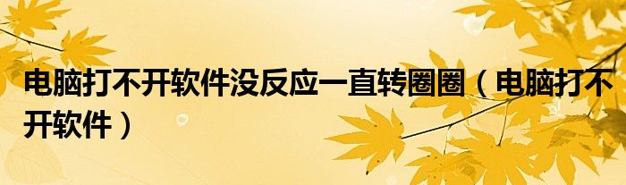 电脑打不开软件没反应一直转圈圈（电脑打不开软件）