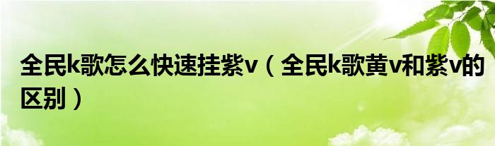 全民k歌怎么快速挂紫v（全民k歌黄v和紫v的区别）