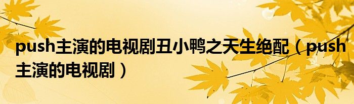 push主演的电视剧丑小鸭之天生绝配（push主演的电视剧）