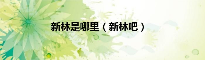 新林是哪里（新林吧）