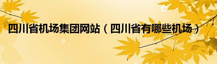 四川省机场集团网站（四川省有哪些机场）