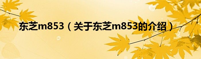 东芝m853（关于东芝m853的介绍）
