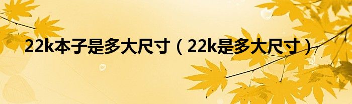22k本子是多大尺寸（22k是多大尺寸）