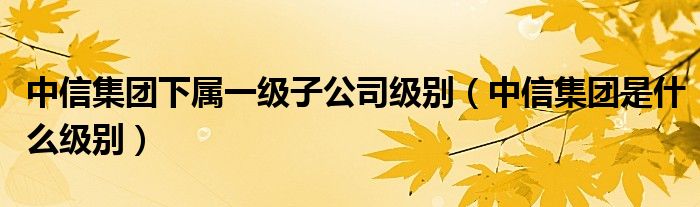 中信集团下属一级子公司级别（中信集团是什么级别）