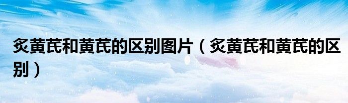 炙黄芪和黄芪的区别图片（炙黄芪和黄芪的区别）