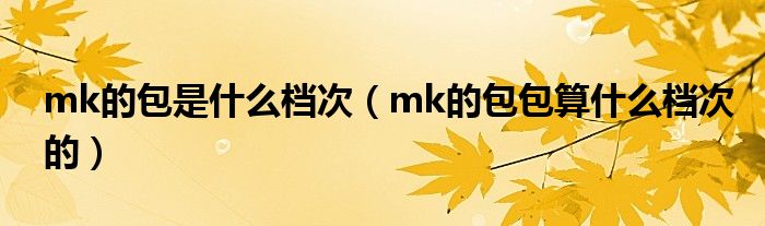 mk的包是什么档次（mk的包包算什么档次的）