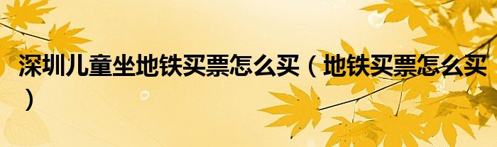 深圳儿童坐地铁买票怎么买（地铁买票怎么买）