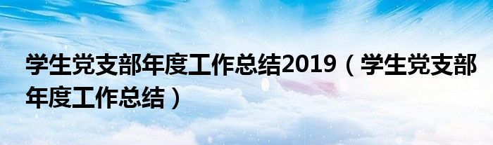 学生党支部年度工作总结2019（学生党支部年度工作总结）