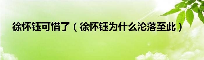 徐怀钰可惜了（徐怀钰为什么沦落至此）