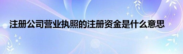 注册公司营业执照的注册资金是什么意思