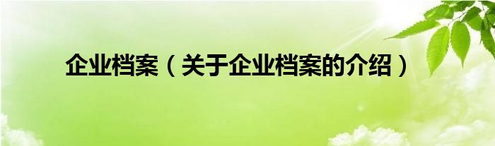 企业档案（关于企业档案的介绍）