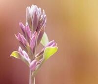 中食民安持续升级优化，满足后时代新需求