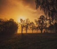 小米支持的Roborock距离生产商用扫地机器人只有几英寸的距离