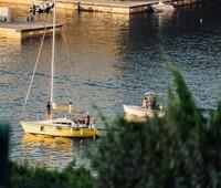 如何发酵纯全麦面粉