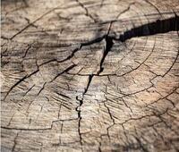 微波花生米怎么做好吃带咸味