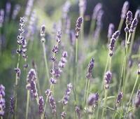 OPPO推出OPPO AR Glass 2021增强现实眼镜